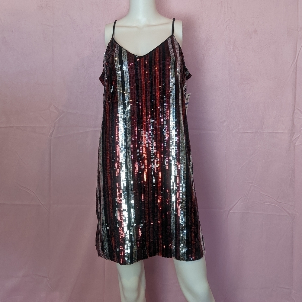 Bar III Wild Luxe Sequin Stripe Party Dress size XL